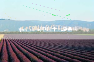 蚌埠中国十七块金牌