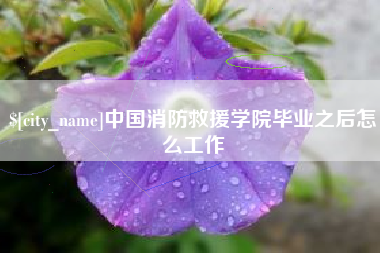蚌埠中国消防救援学院毕业之后怎么工作