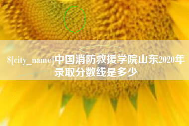 蚌埠中国消防救援学院山东2020年录取分数线是多少