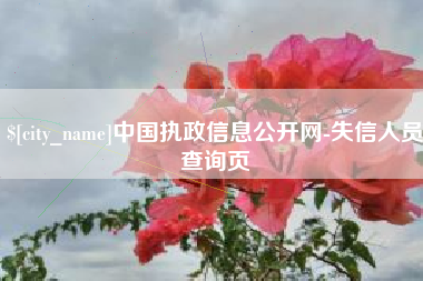 蚌埠中国执政信息公开网-失信人员查询页