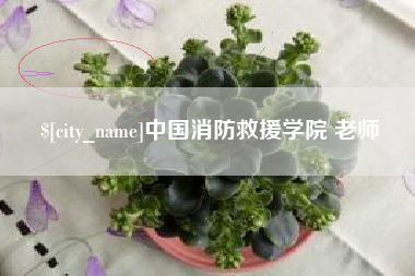蚌埠中国消防救援学院 老师