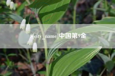 蚌埠中国第9金