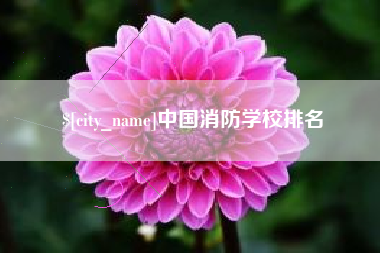 蚌埠中国消防学校排名