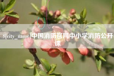 蚌埠中国消防官网中小学消防公开课