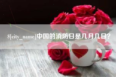蚌埠中国的消防日是几月几日？