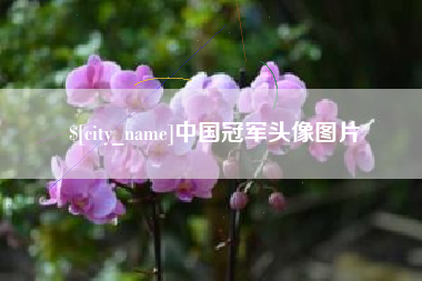 蚌埠中国冠军头像图片
