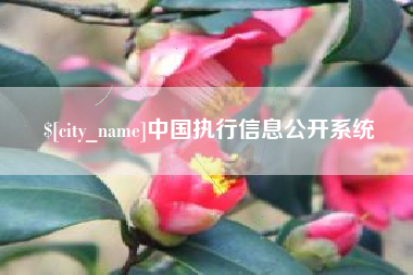 蚌埠中国执行信息公开系统