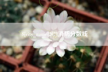 蚌埠2021消防分数线