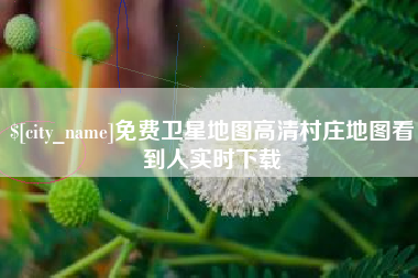 蚌埠免费卫星地图高清村庄地图看到人实时下载