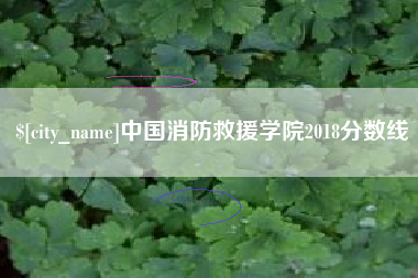 蚌埠中国消防救援学院2018分数线