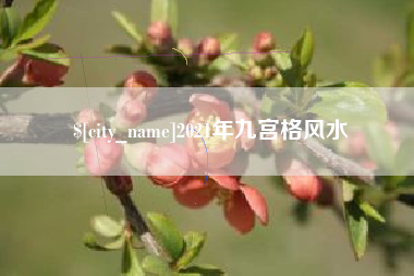 蚌埠2021年九宫格风水