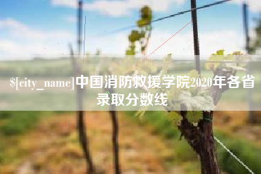 蚌埠中国消防救援学院2020年各省录取分数线