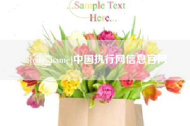 蚌埠中国执行网信息官网