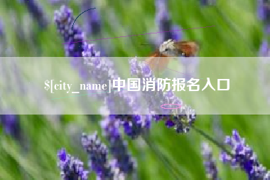 蚌埠中国消防报名入口