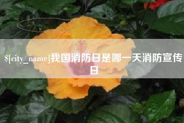 蚌埠我国消防日是哪一天消防宣传日