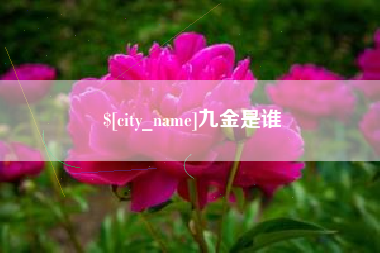 蚌埠九金是谁