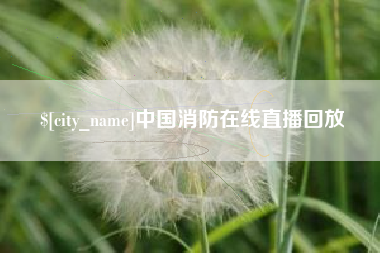 蚌埠中国消防在线直播回放