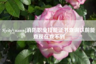 蚌埠消防职业技能证书查询以前能查现在查不到