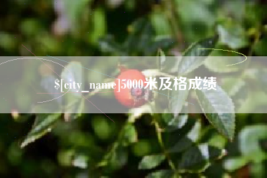 蚌埠5000米及格成绩