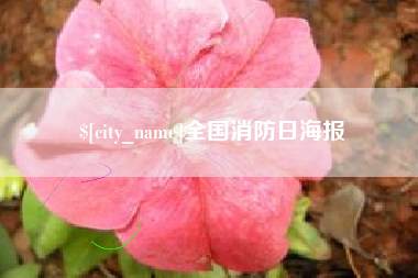 蚌埠全国消防日海报