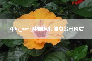 蚌埠中国执行信息公开网后