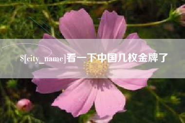 蚌埠看一下中国几枚金牌了