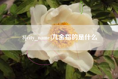 蚌埠九金指的是什么