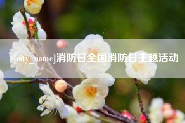 蚌埠消防日全国消防日主题活动