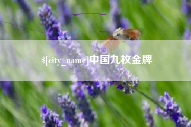 蚌埠中国九枚金牌
