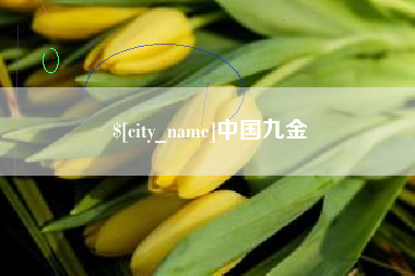 蚌埠中国九金