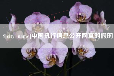 蚌埠中国执行信息公开网真的假的