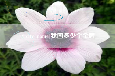 蚌埠我国多少个金牌