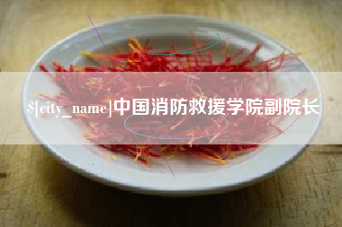 蚌埠中国消防救援学院副院长