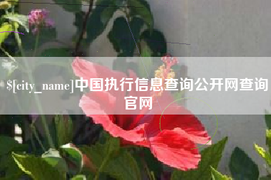 蚌埠中国执行信息查询公开网查询官网