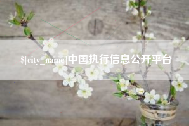 蚌埠中国执行信息公开平台