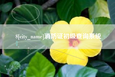 蚌埠消防证初级查询系统