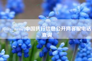 蚌埠中国执行信息公开网客服电话查询
