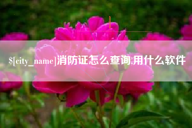 蚌埠消防证怎么查询,用什么软件