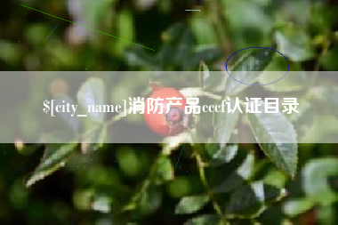 蚌埠消防产品cccf认证目录