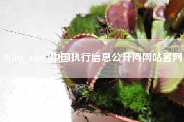 蚌埠中国执行信息公开网网站官网
