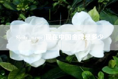 蚌埠现在中国金牌是多少