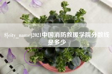 蚌埠2021中国消防救援学院分数线是多少