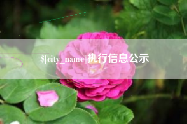 蚌埠执行信息公示