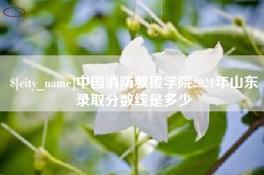 蚌埠中国消防救援学院2021年山东录取分数线是多少