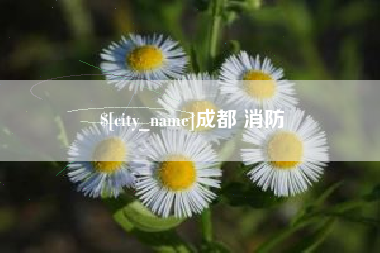 蚌埠成都 消防