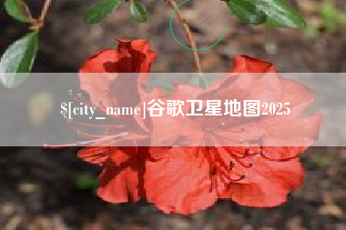 蚌埠谷歌卫星地图2025