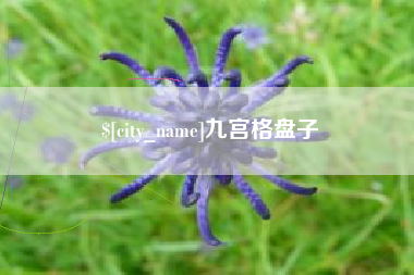 蚌埠九宫格盘子