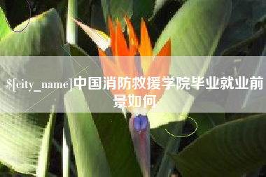 蚌埠中国消防救援学院毕业就业前景如何