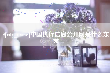 蚌埠中国执行信息公开网是什么东西