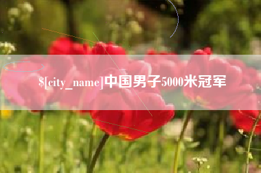 蚌埠中国男子5000米冠军